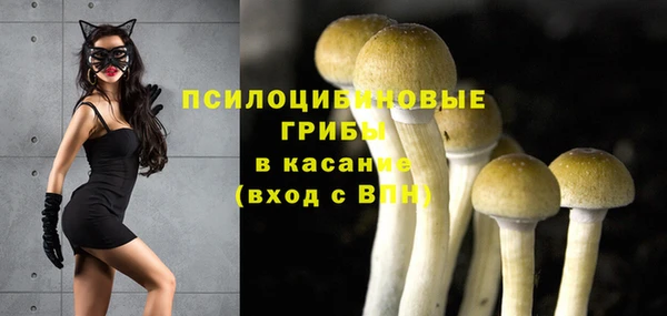 СК Аркадак