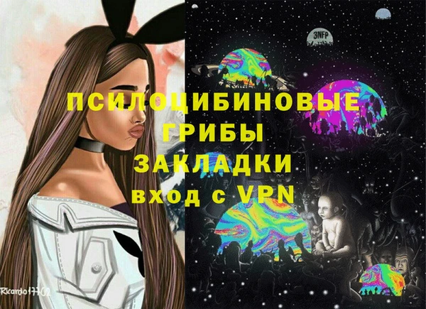 spice Армянск