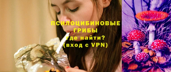 крисы Арсеньев