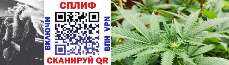Бошки Шишки план  Богородицк 
